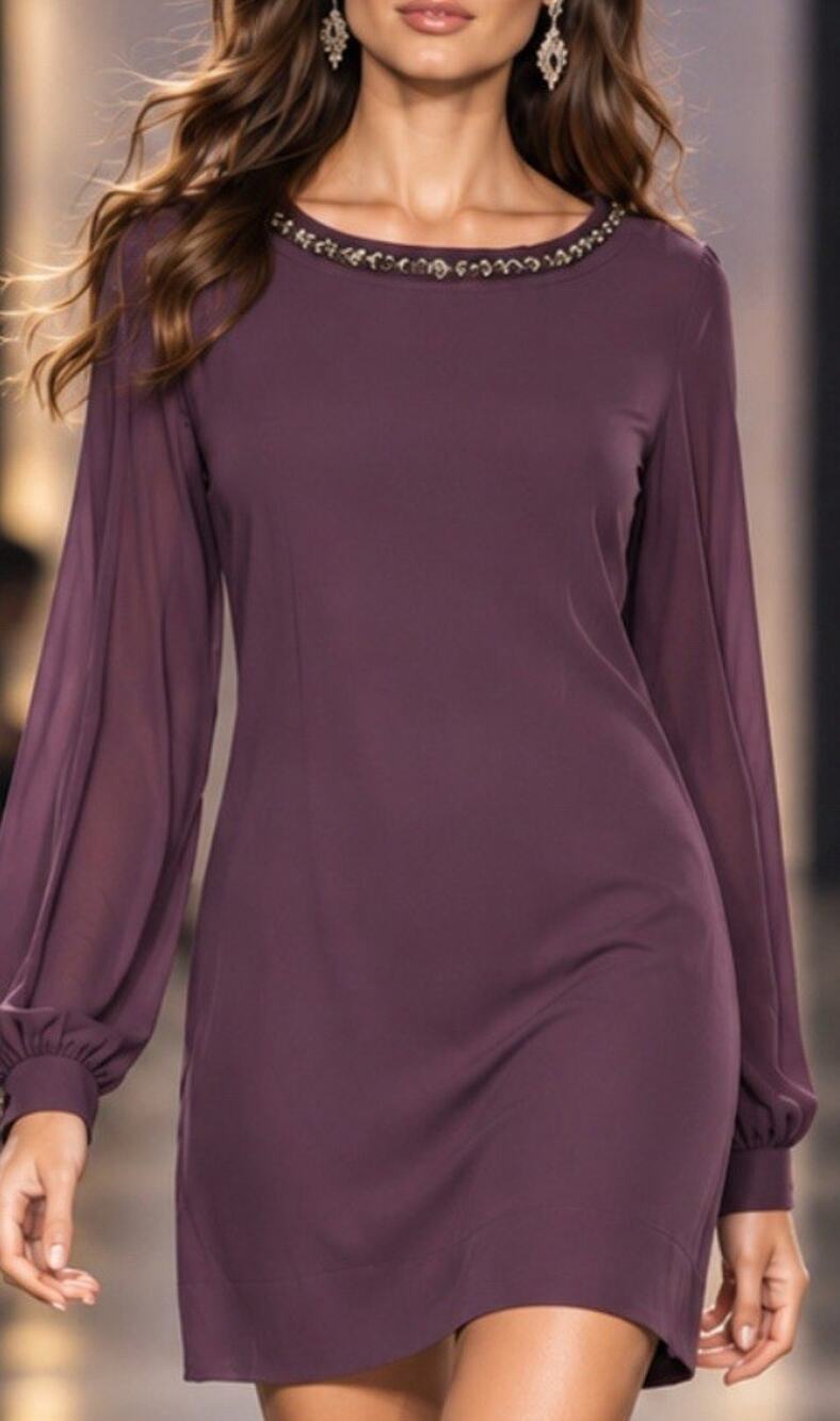 Elizabeth and James Women’s XS Purple Embellished Neck Shift Long Sleeve Dress